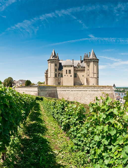 Découverte du château de Saumur