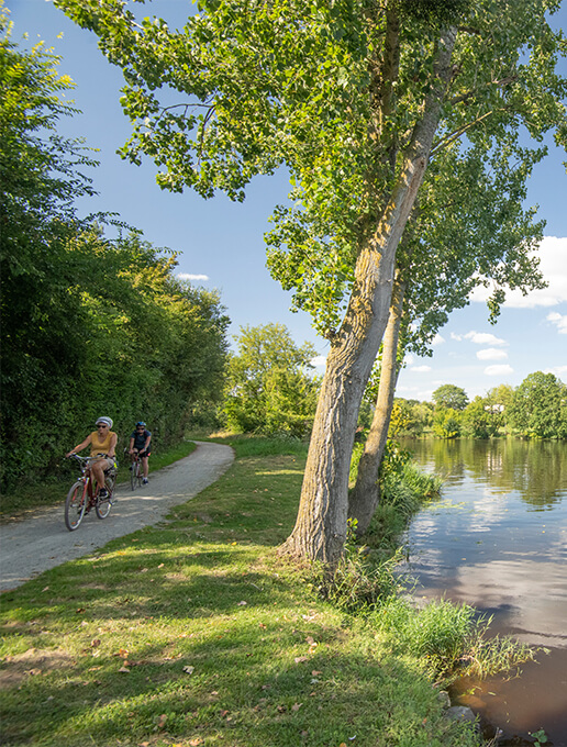 Partez à la découverte du Parc naturel régional de Brière en vélo