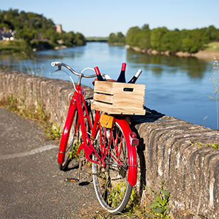 Balades à vélo le long de la Loire