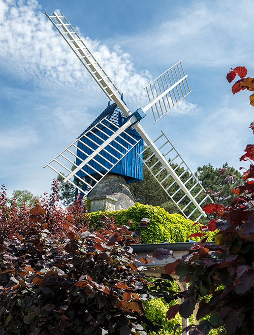 Le moulin bleu de Bourgueil dans la Loire