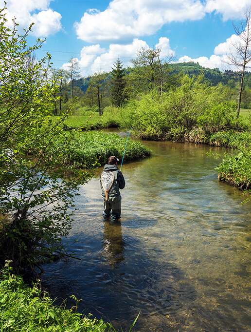 Activité pêche à proximité du camping de la Grande Pâture