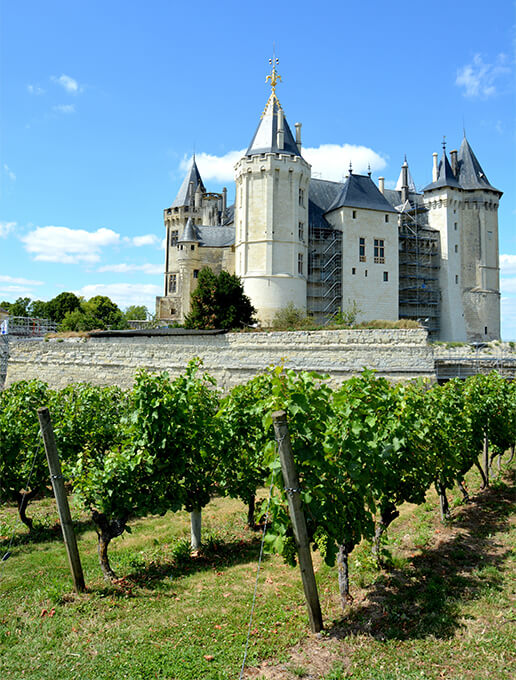 Visite des vignobles de Saumur